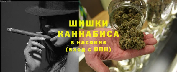 прущий лед Пересвет