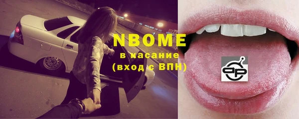 прущий лед Пересвет
