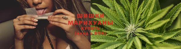 прущий лед Пересвет
