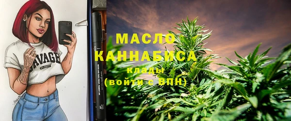 прущий лед Пересвет