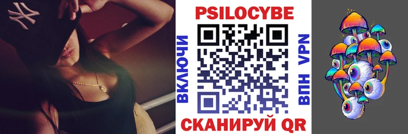 omg ССЫЛКА Черкесск Галлюциногенные грибы мицелий